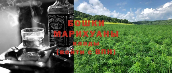 молекула духа Семилуки