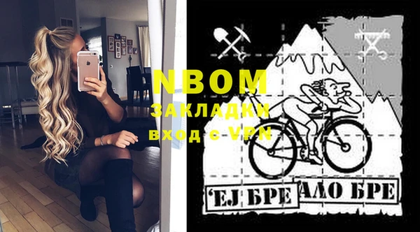 молекула духа Семилуки