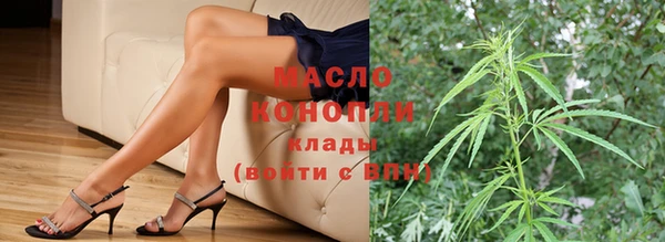 молекула духа Семилуки